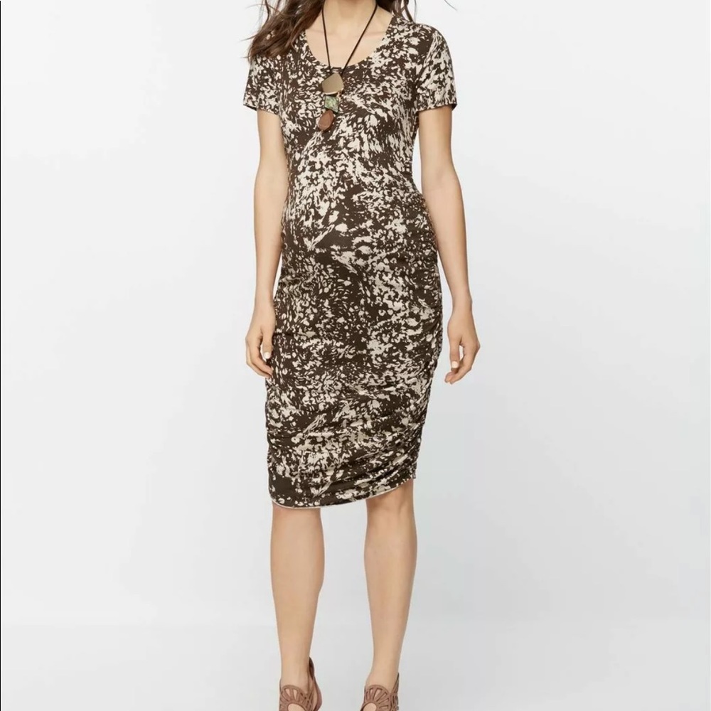 Pea In the Pod Maternity Dress